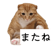 832318016