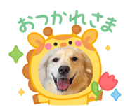 832319100