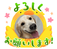 832319102