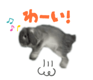 832322666