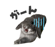 832322671