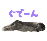 832322675