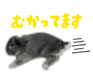 832322677