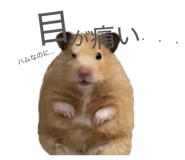832322769