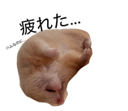 832322770
