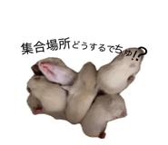 832322783