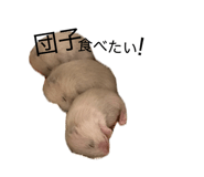 832322785