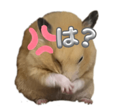 832322794