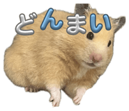 832322799