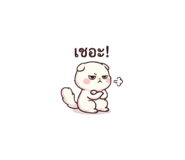 832328725