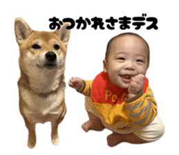 832330871
