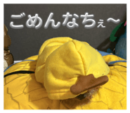 832339404