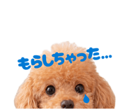832341423