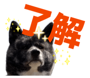 832352418