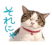 832352558