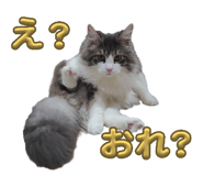 832353680