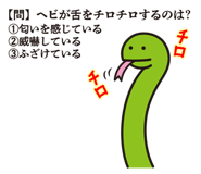 832371921