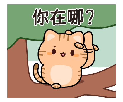 Pop-Up! Answer Red Tabby Cat รูปที่ 17
