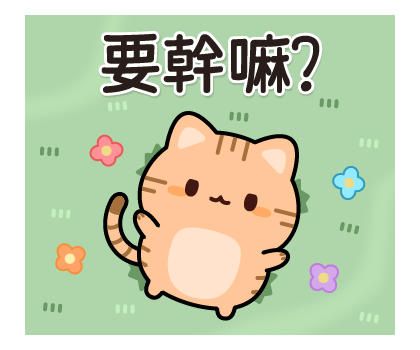 Pop-Up! Answer Red Tabby Cat รูปที่ 20