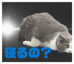 832385507