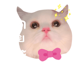 832386787