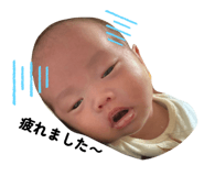 832390564