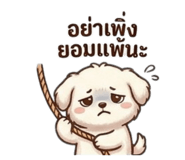 832391824