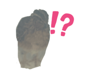 832398908