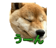 832398910