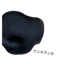 832421579