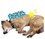 832425873