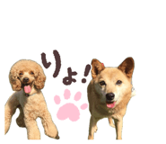 832425896