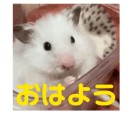 832425897