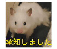 832425901