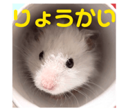 832425903
