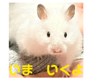 832425909