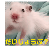 832425910