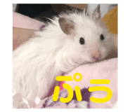 832425911