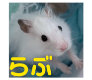 832425912