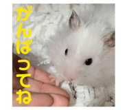 832425916