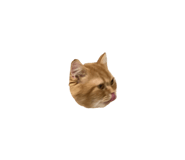 832484833