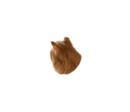 832484834