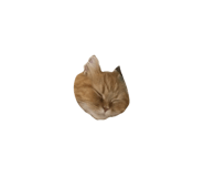 832484836