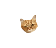 832484838