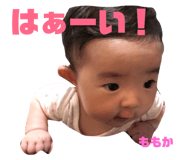 83249423