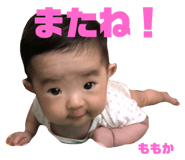 83249424