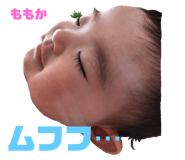 83249425