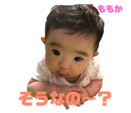 83249426