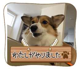 832494558