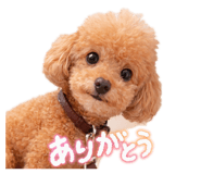 832498368